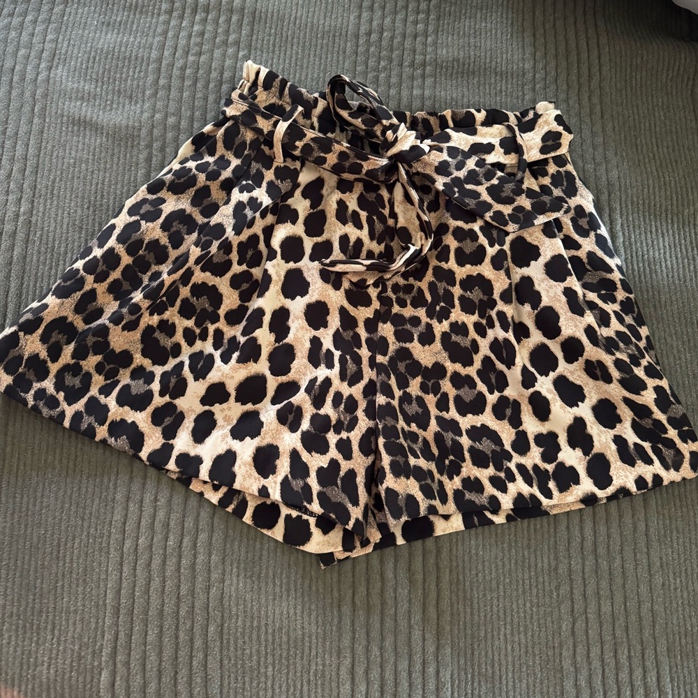 Zara Shorts